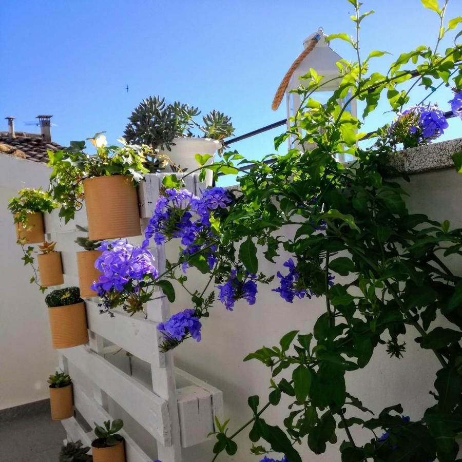 B&B Porta Girone Civitanova Alta Eksteriør bilde